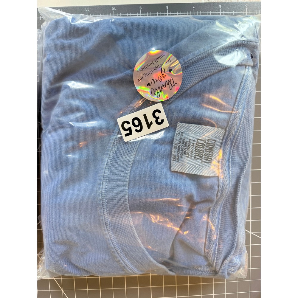 Comfort Colors Turks & Caicos Pirate Dog Graphic T Shirt XXL Garment Dyed Blue - Picture 6 of 9
